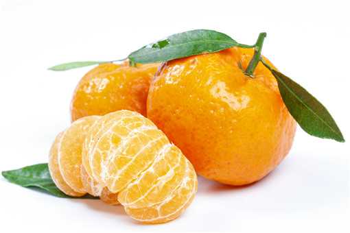 种橘子树注意哪些 橘子树种植的时候需要注意哪些