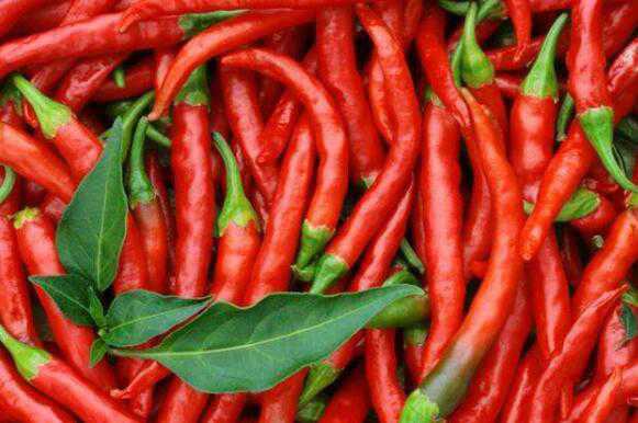 辣椒的营养价值及功效 柿子辣椒的营养价值及功效