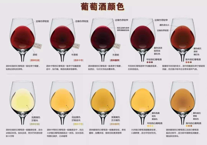 白葡萄酒和红葡萄酒的区别（酿造白葡萄酒和红葡萄酒的区别）