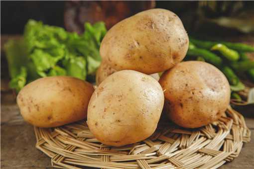 马铃薯的种植方法是什么 马铃薯的种植方法是什么样的