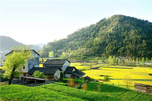 乡村旅游