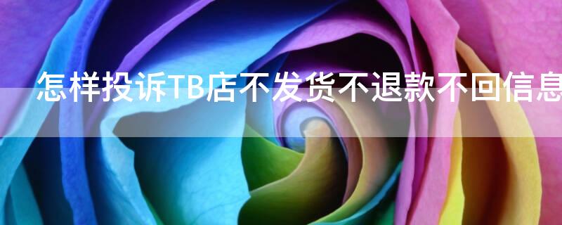 怎样投诉TB店不发货不退款不回信息