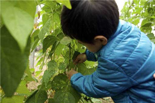 2020年藏在农村的暴利小生意有哪些 2020年不起眼的暴利小生意