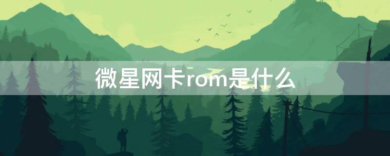 微星网卡rom是什么