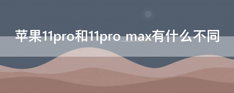 iPhone11pro和11pro max有什么不同