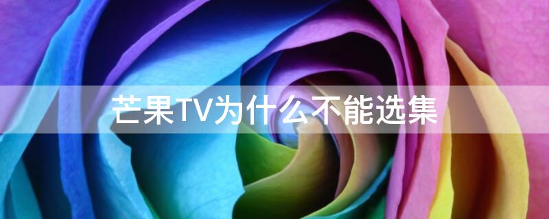 芒果TV为什么不能选集