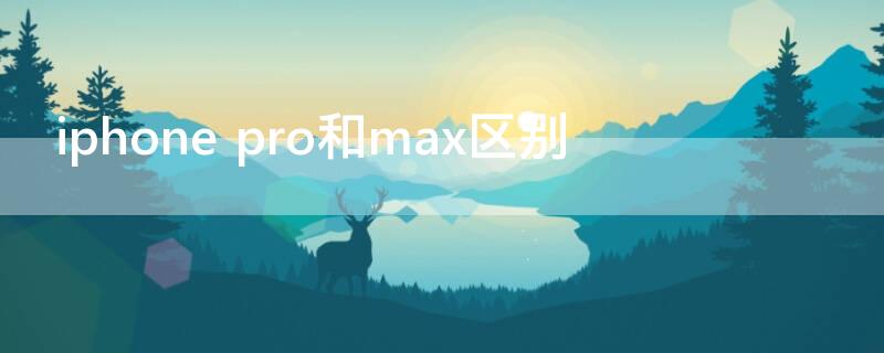 iPhone pro和max区别