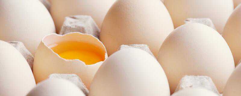 鸡蛋壳能吃吗（鸡蛋壳能吃吗有营养吗）