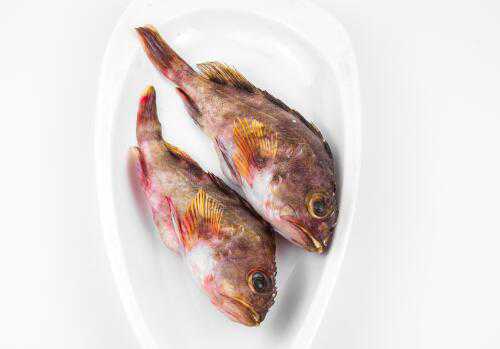 海水石斑鱼价格是多少钱一斤 石斑鱼是海水鱼吗?多少钱一斤?