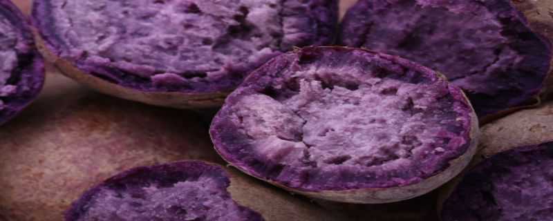 紫薯盆栽种植方法