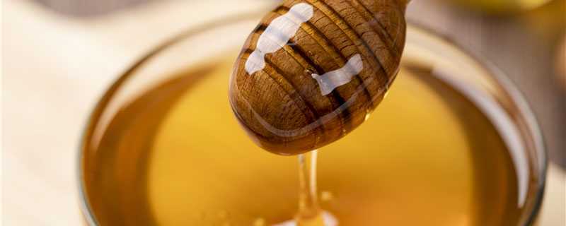 蜂蜜的品种有哪些 蜂蜜的品种有哪些种类