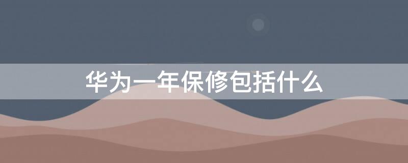 华为一年保修包括什么