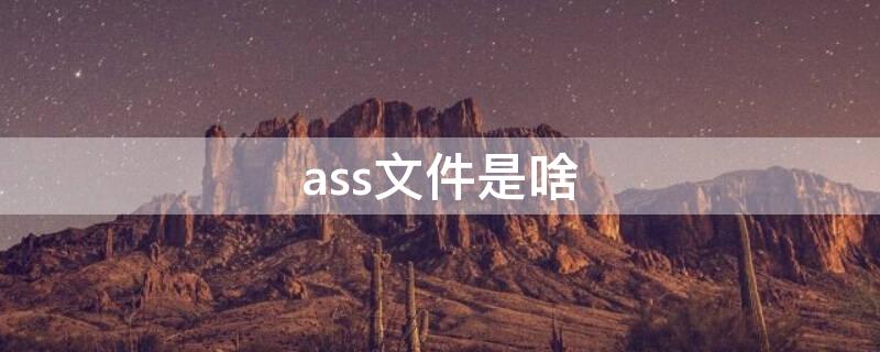 ass文件是啥