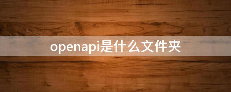 openapi是什么文件夹