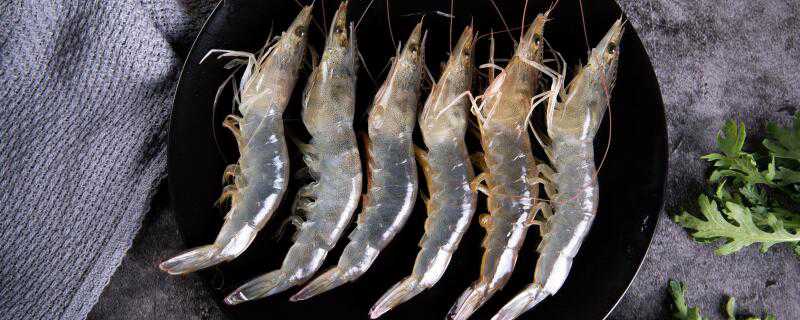 基围虾养殖技术条件 基围虾养殖技术条件有哪些
