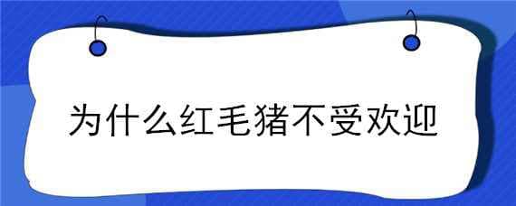 为什么红毛猪不受欢迎 红毛猪和普通猪的区别