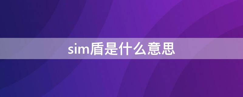 sim盾是什么意思