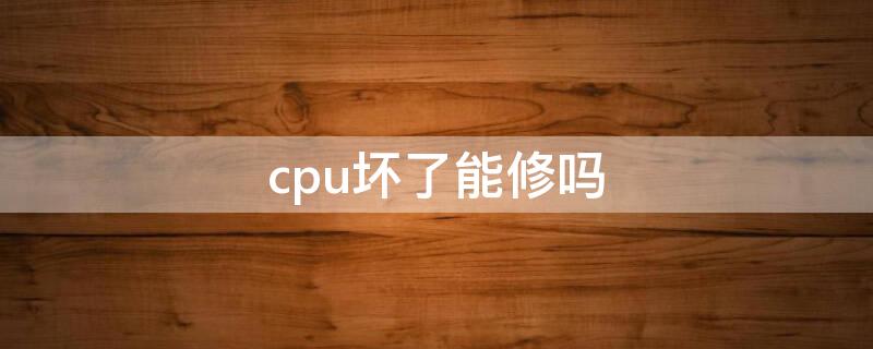 cpu坏了能修吗