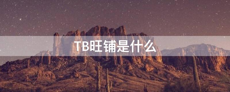 TB旺铺是什么