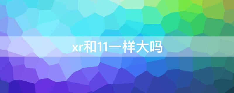 xr和11一样大吗