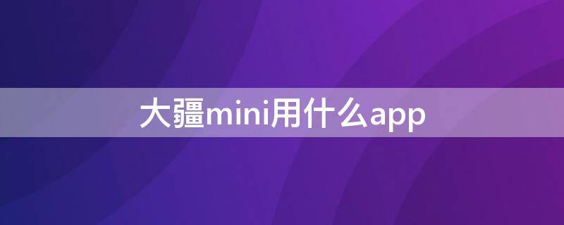 大疆mini用什么app