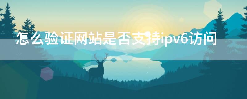 怎么验证网站是否支持ipv6访问