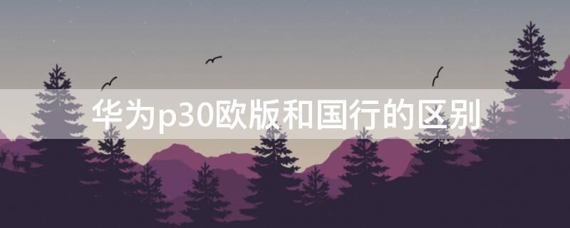 华为p30欧版和国行的区别