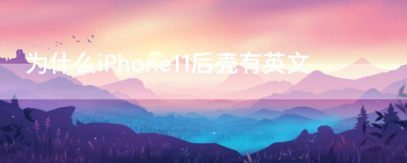 为什么iPhone11（为什么iphone11promax下架了）