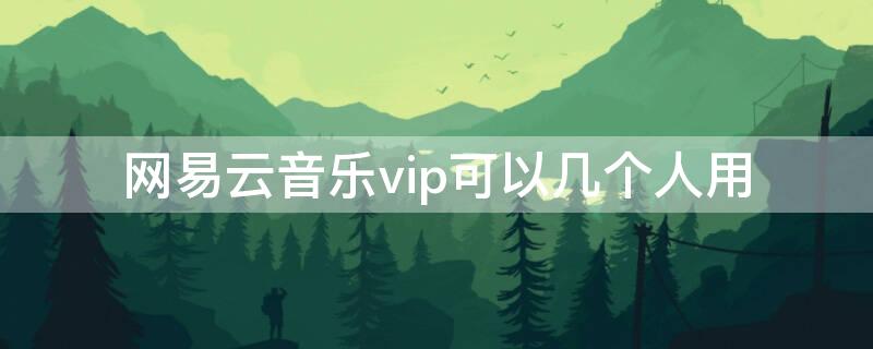 网易云音乐vip可以几个人用（网易云音乐会员怎样可以多人使用）