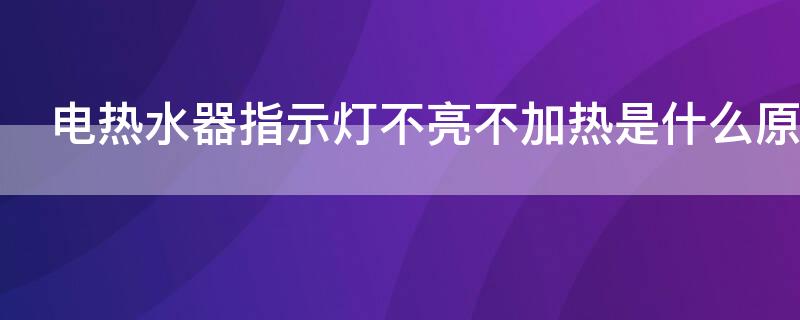 电热水器指示灯不亮不加热是什么原因