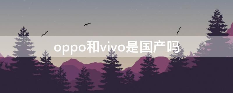 oppo和vivo是国产吗（oppo和vivo是国产嘛）