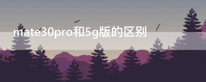 mate30pro和5g版的区别（华为mate30和mate30pro的区别）