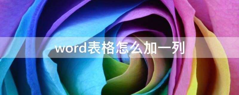 word表格怎么加一列（word表格怎么增加一列）