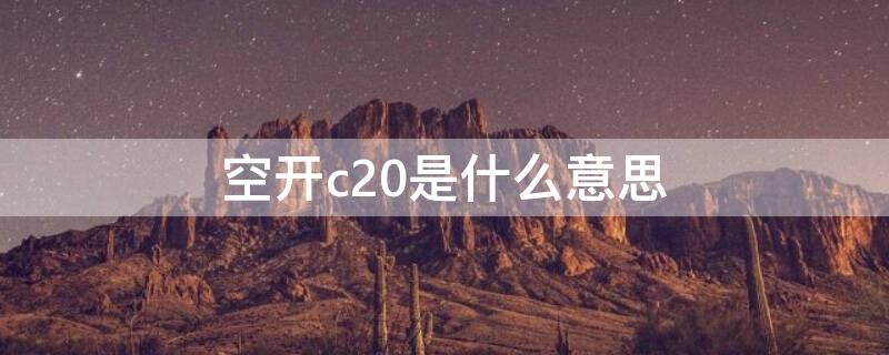 空开c20是什么意思（空开c20是什么意思啊!）