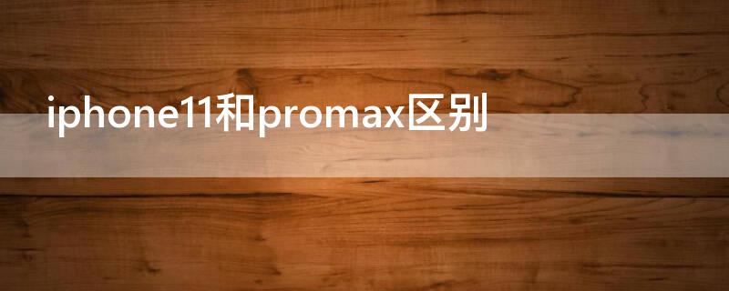 iPhone11和promax区别 iphone11和promax区别 xr