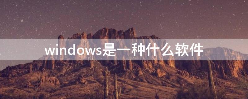 windows是一种什么软件（windows是一种什么软件类型）