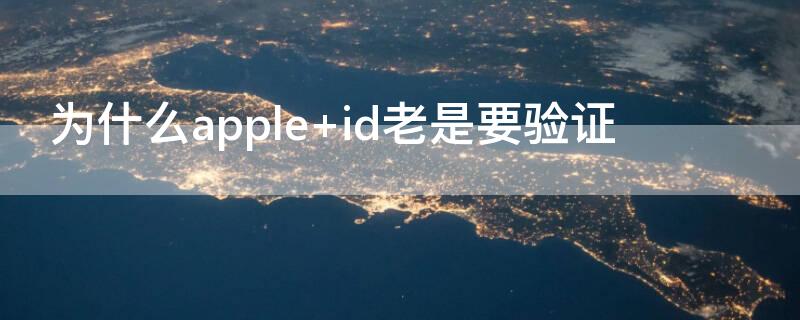 为什么apple（为什么appleid头像不显示）