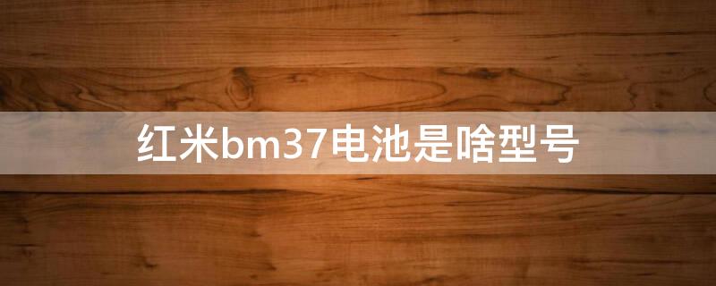 红米bm37电池是啥型号（红米电池BN37）