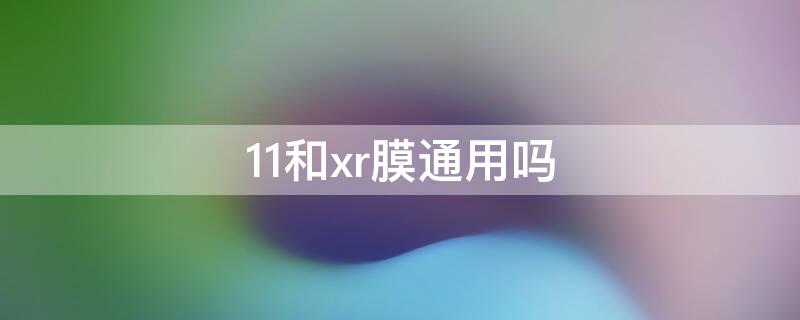 11和xr膜通用吗 xr和11的膜