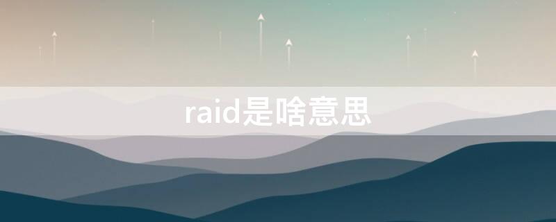 raid是啥意思 raid是什么意思?