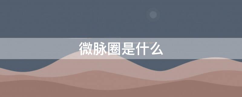 微脉圈是什么（微脉圈是什么软件）