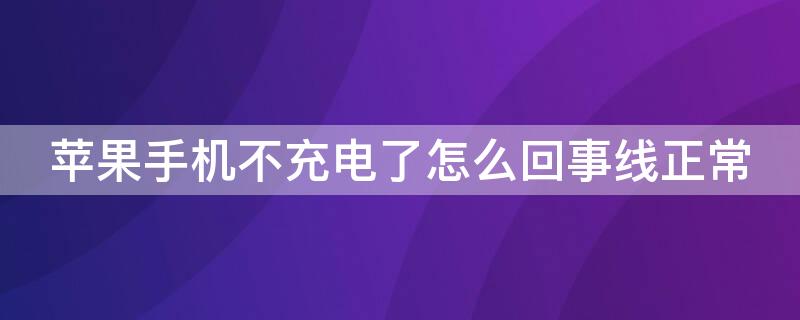 iPhone手机不充电了怎么回事线正常 iphone充电线突然充不了电