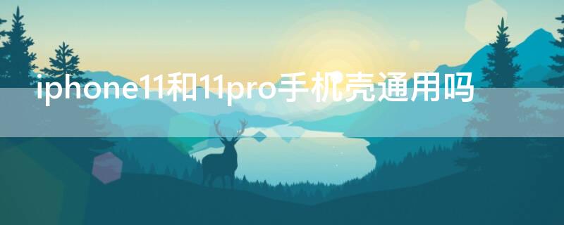 iPhone11和11pro手机壳通用吗（iphone12和11pro手机壳通用吗）