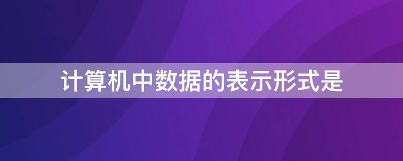 计算机中数据的表示形式是（计算机中数据的表示形式是十进制）