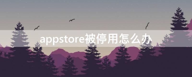 appstore被停用怎么办 ios你的账户已在appstore停用怎么办