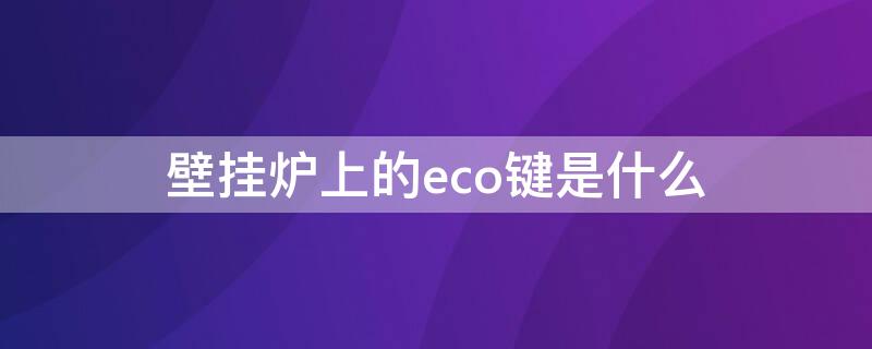 壁挂炉上的eco键是什么 壁挂炉eco模式什么意思