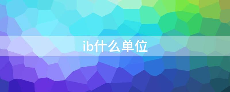 ib什么单位（ibs是什么单位）