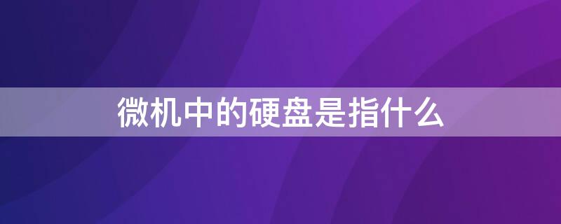 微机中的硬盘是指什么 微型计算机的硬盘是该机的什么