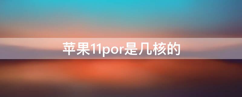 iPhone11por是几核的（iphone12是几核的）