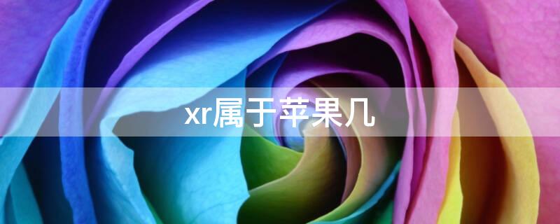 xr属于iPhone几 苹果XR是苹果几?